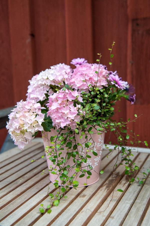 Mangelgardens B&B Söderköping Kültér fotó